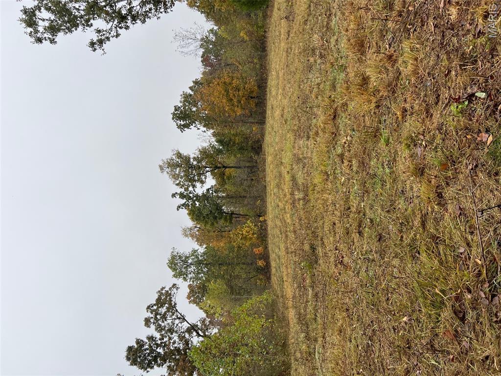 0 Oregon Co 142 255 Myrtle, MO 65778 - Photo 13 of 14