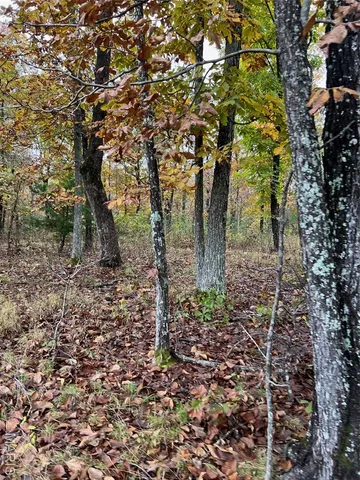 $195,000 | 0 Oregon Co 142 255, Myrtle, MO 65778