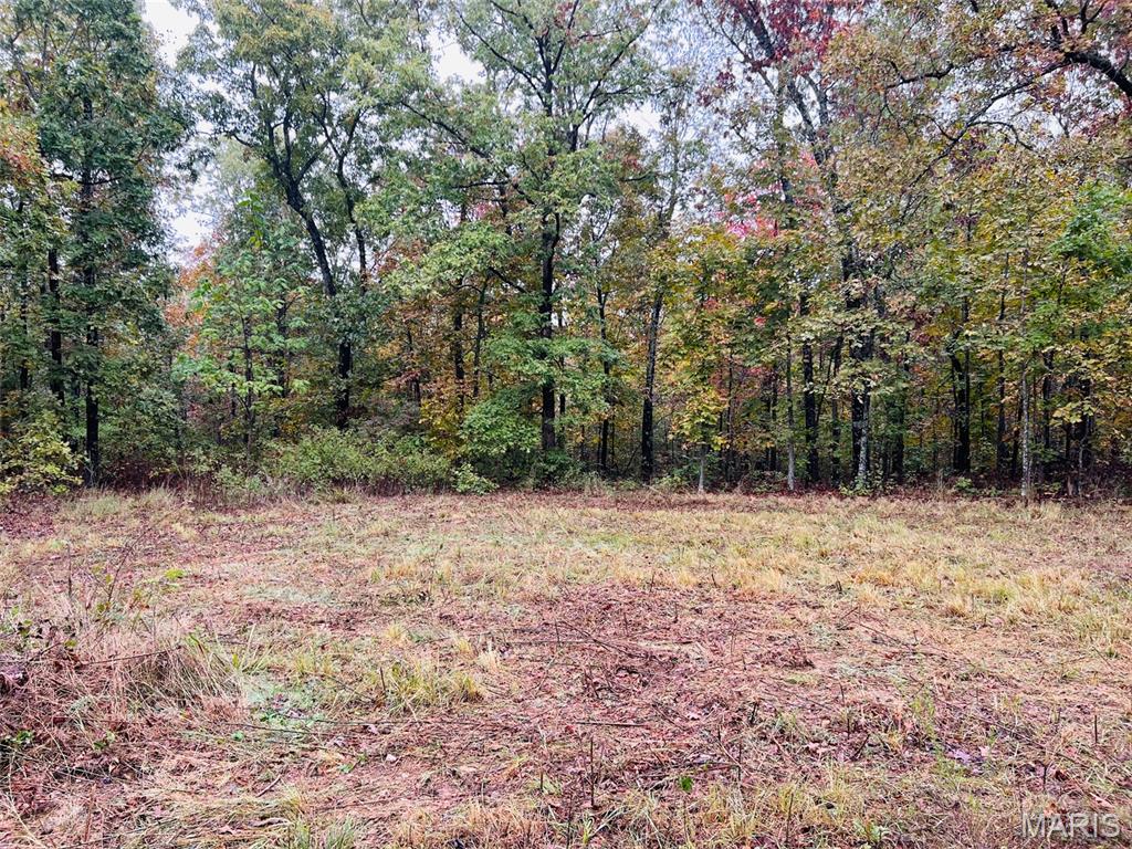 0 Oregon Co 142 255 Myrtle, MO 65778 - Photo 3 of 14