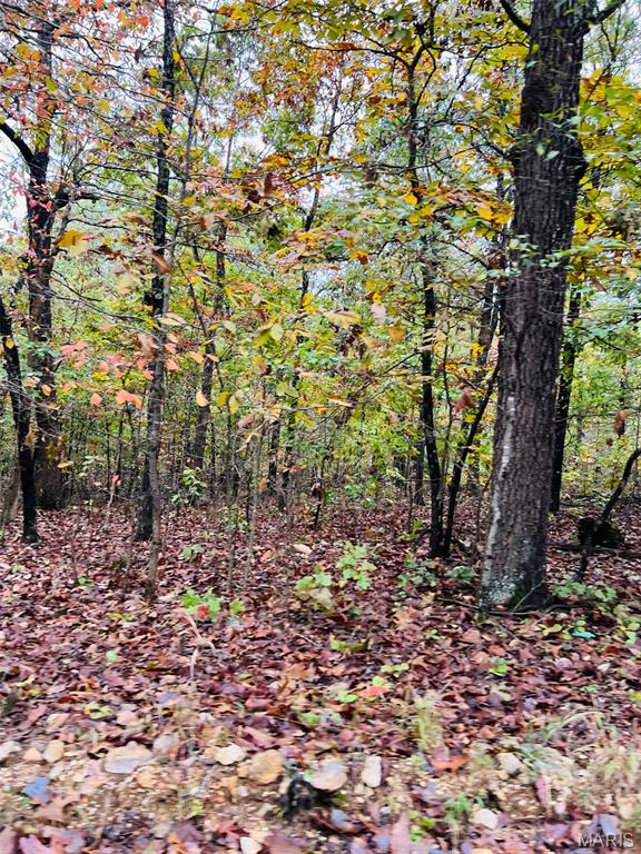 0 Oregon Co 142 255 Myrtle, MO 65778 - Photo 4 of 14