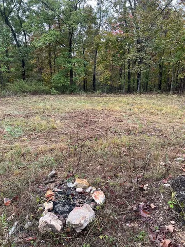 $195,000 | 0 Oregon Co 142 255, Myrtle, MO 65778