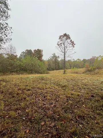 $195,000 | 0 Oregon Co 142 255, Myrtle, MO 65778