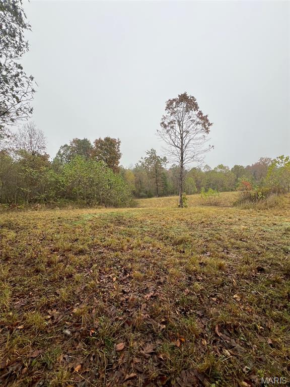 0 Oregon Co 142 255 Myrtle, MO 65778 - Photo 6 of 14