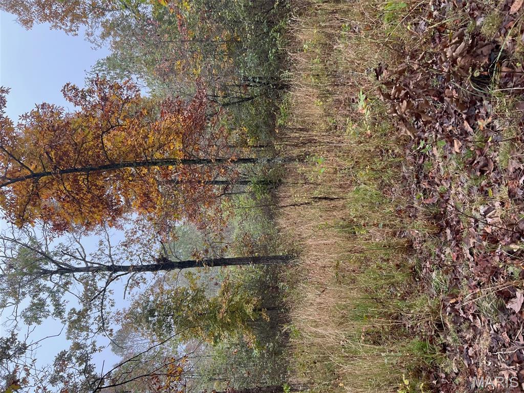 0 Oregon Co 142 255 Myrtle, MO 65778 - Photo 8 of 14