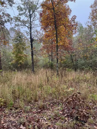 $172,500 | 0 Oregon Co 142 255, Myrtle, MO 65778