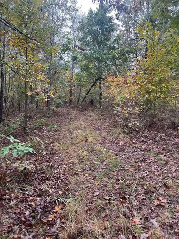 $195,000 | 0 Oregon Co 142 255, Myrtle, MO 65778