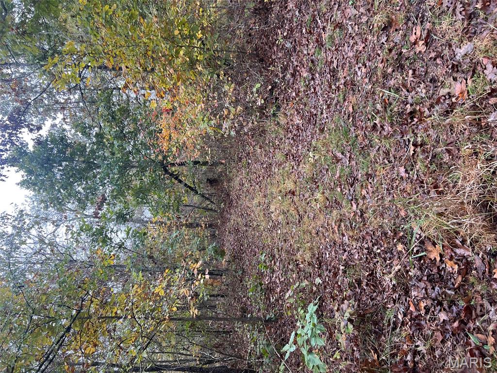 0 Oregon Co 142 255 Myrtle, MO 65778 - Photo 9 of 14