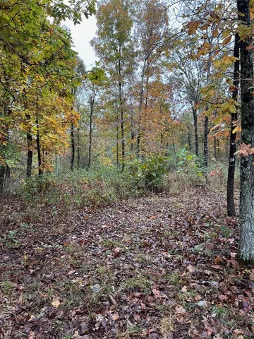 $195,000 | 0 Oregon Co 142 255, Myrtle, MO 65778