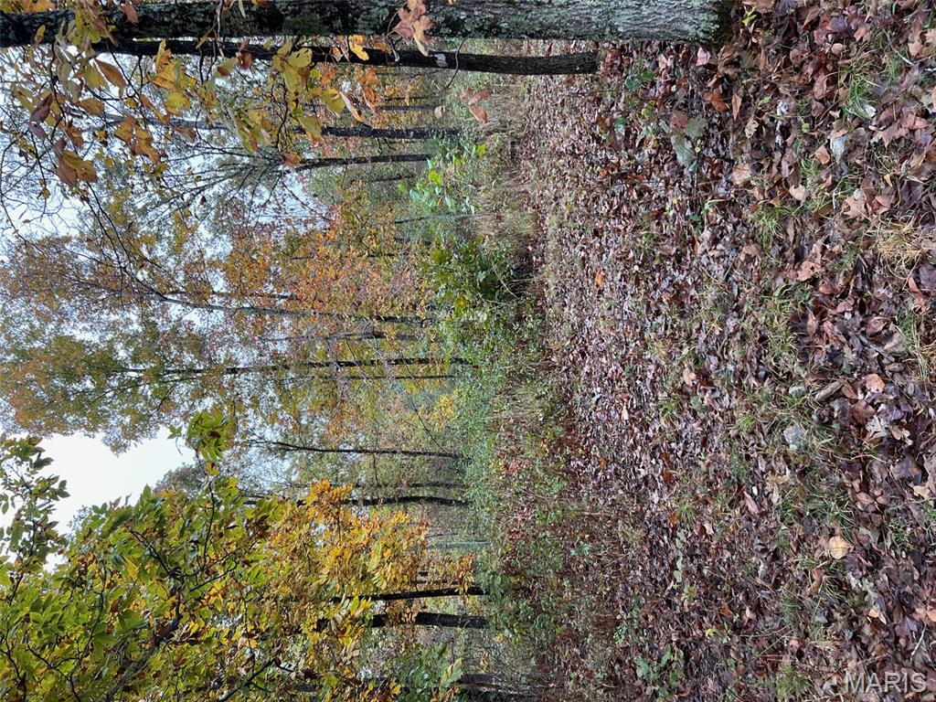 0 Oregon Co 142 255 Myrtle, MO 65778 - Photo 10 of 14