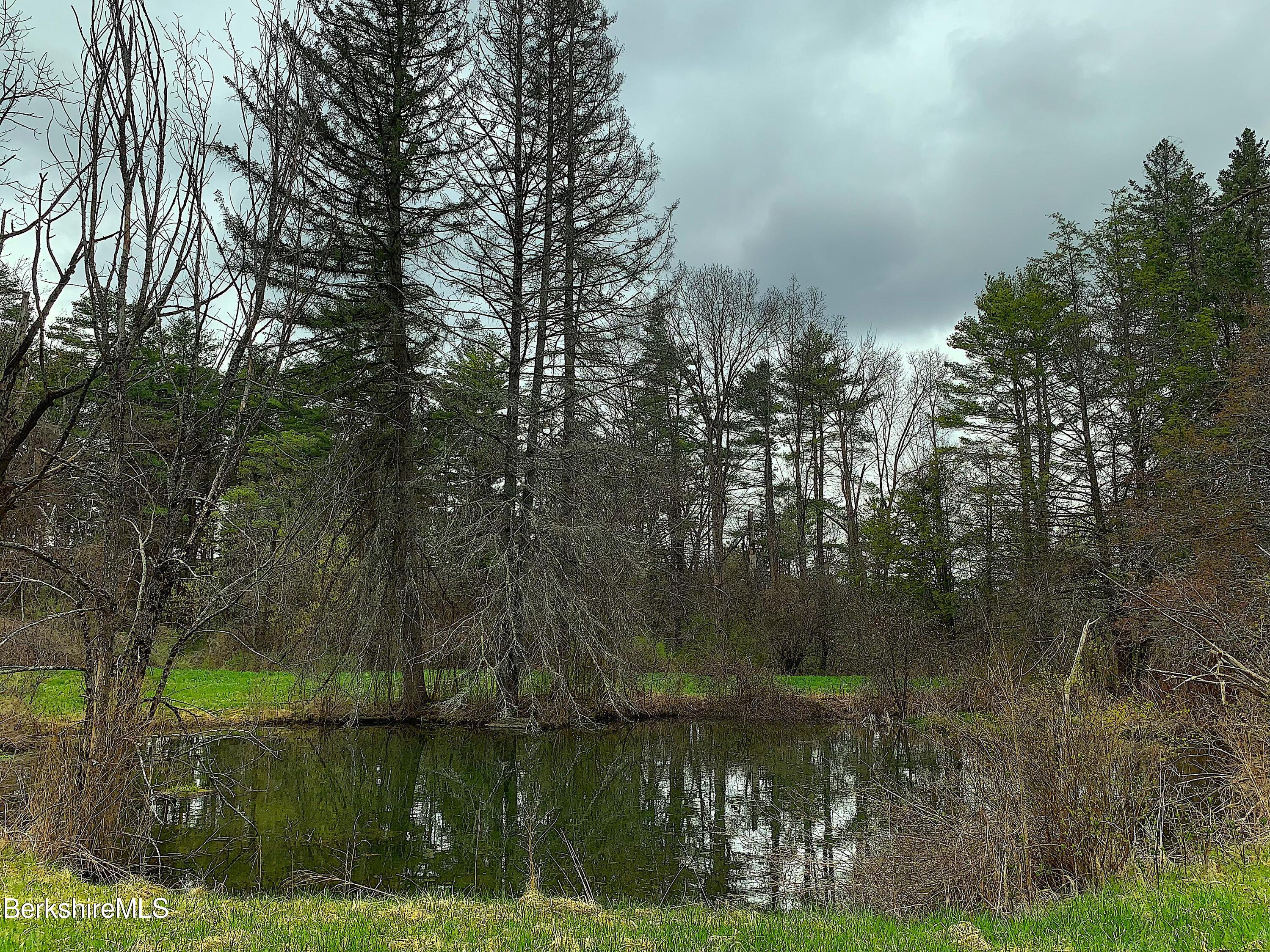 46 Prospect Hill Road Stockbridge, MA 01262 - Photo 2 of 17 IMG_7249