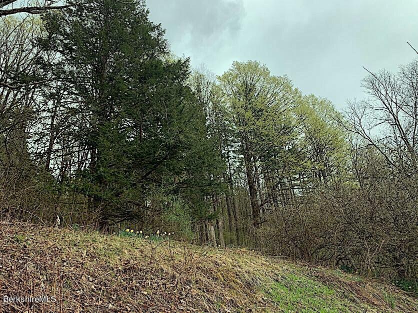 46 Prospect Hill Road Stockbridge, MA 01262 - Photo 6 of 17 IMG_7269