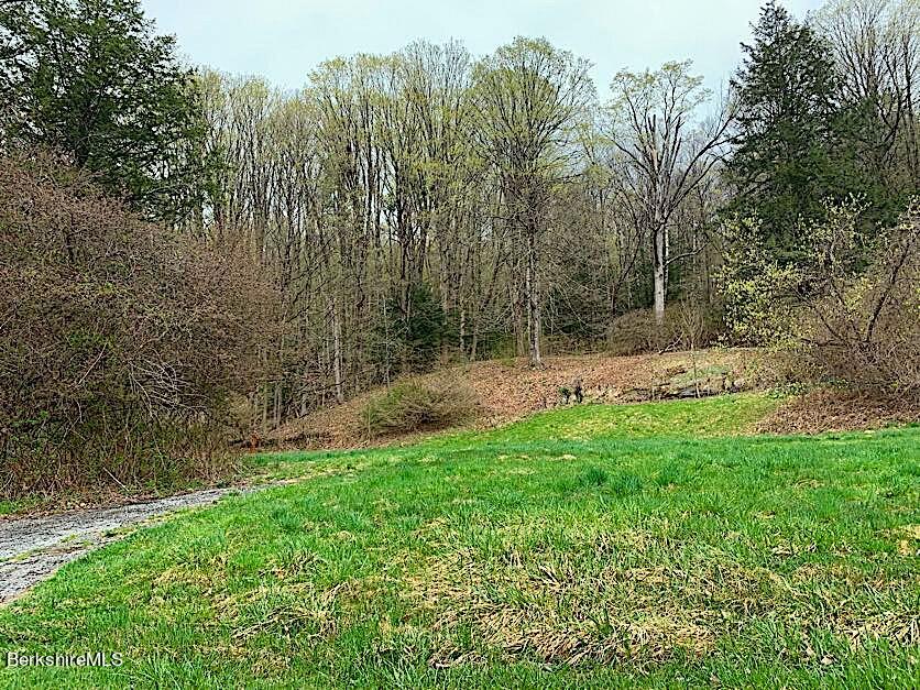 46 Prospect Hill Road Stockbridge, MA 01262 - Photo 8 of 17 IMG_7278