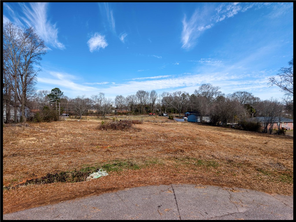2205 Whitehall Road Anderson, SC 29625 - Photo 9 of 13 This expansive lot offers ample space, presenting an ideal foundation for development.
