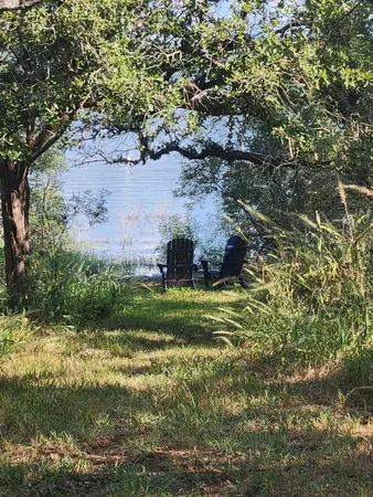 a view of a park with a tree