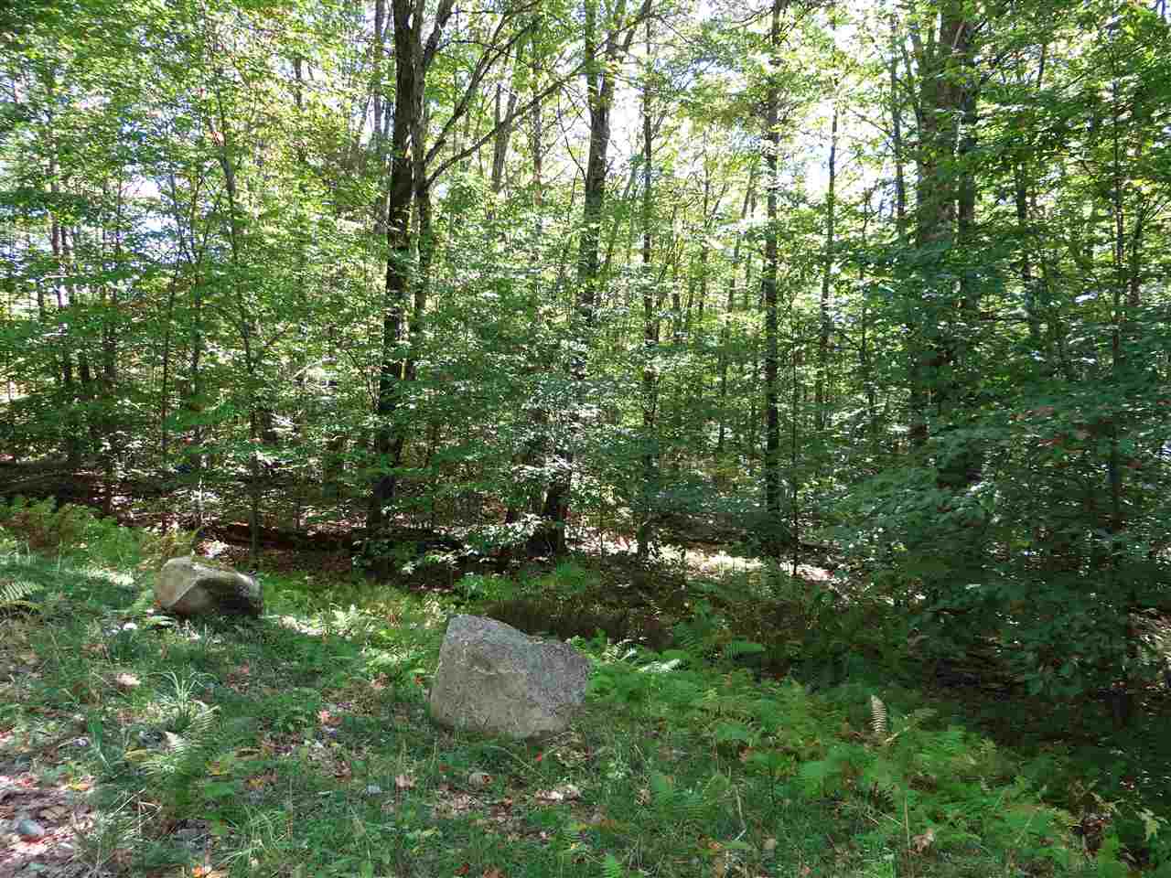 1506 New Boston Road Norwich, VT 05055 - Photo 14 of 16
