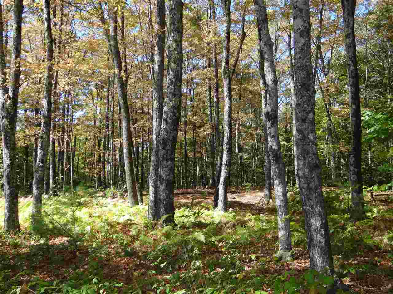 1506 New Boston Road Norwich, VT 05055 - Photo 4 of 16