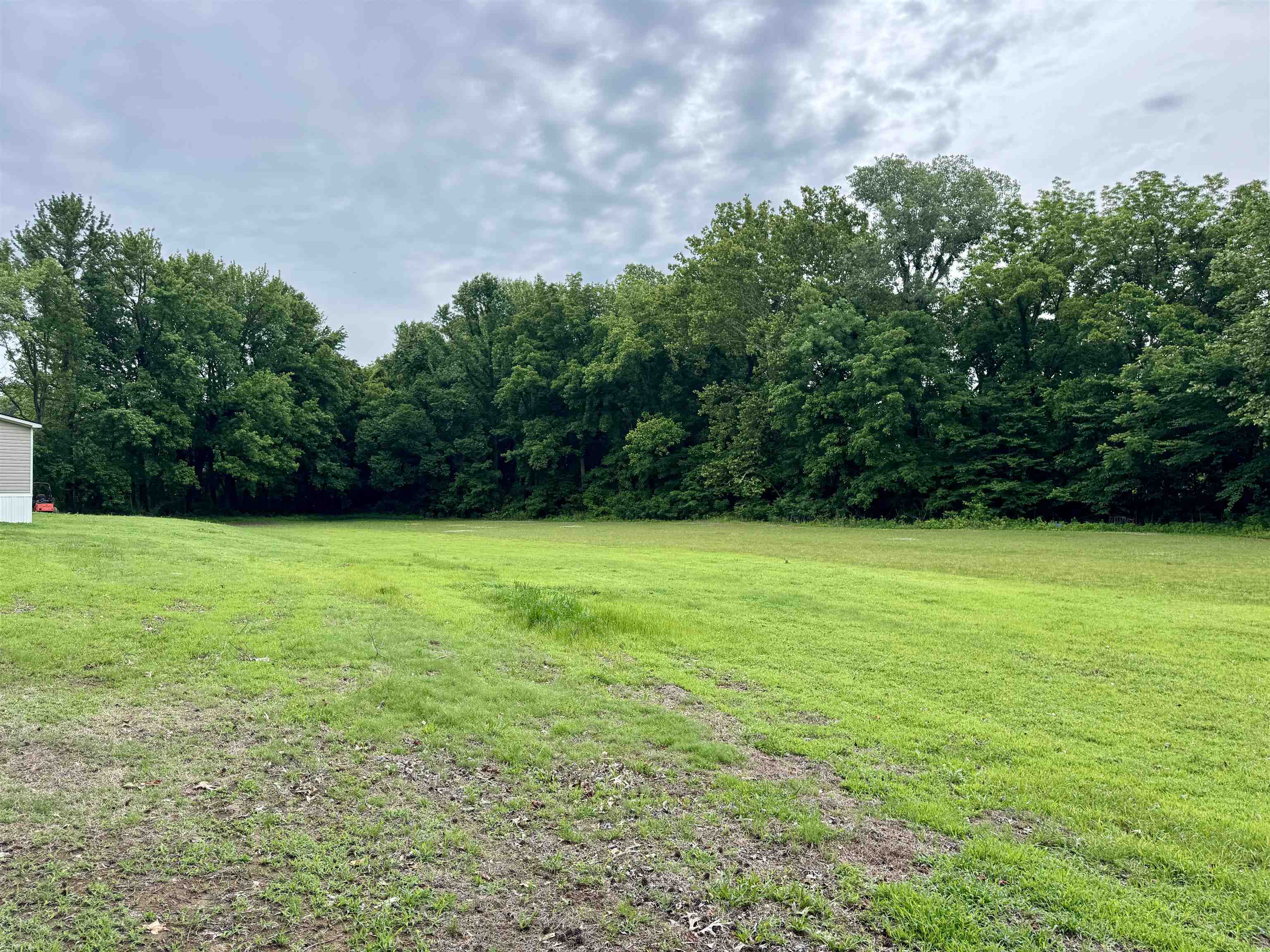 1150 Willie Paris Road Ripley, TN 38063 - Photo 4 of 27