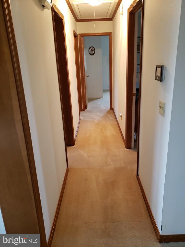 4213 Osborne Road Hurlock, MD 21643 - Photo 18 of 28 Hallway