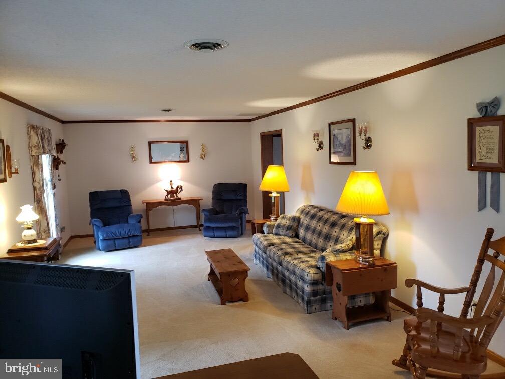 4213 Osborne Road Hurlock, MD 21643 - Photo 27 of 28 Living Room