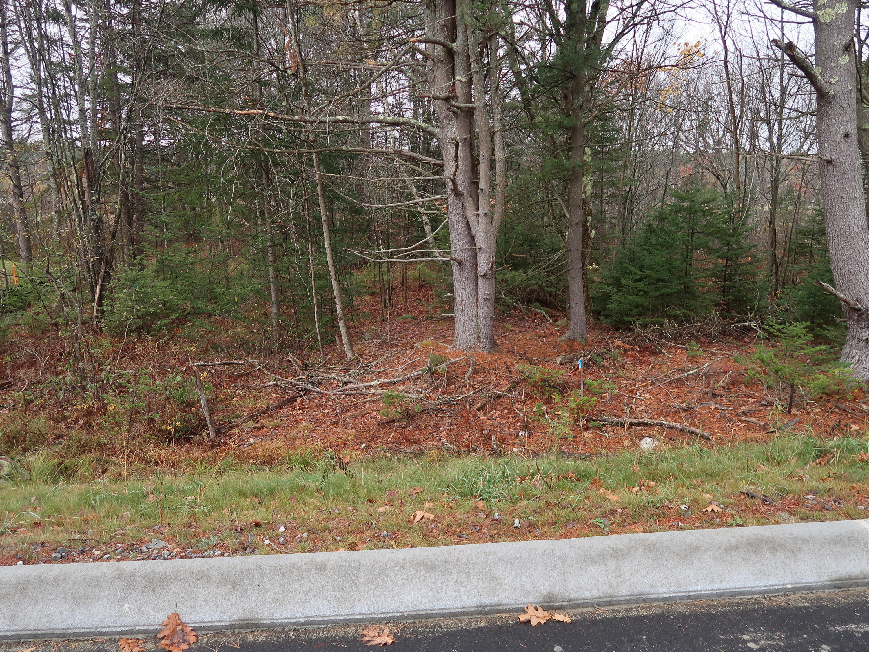 16 Renee Road Freeport, ME 04032 - Photo 5 of 17 IMG_0505