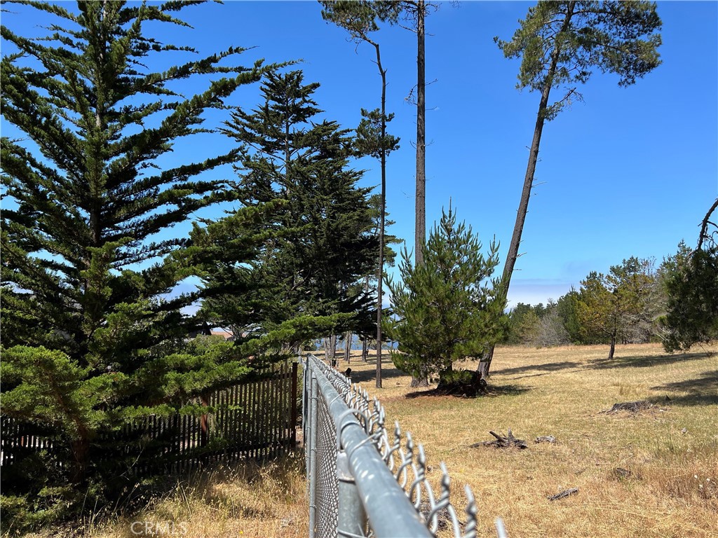 0 Warren Road Cambria, CA 93428 - Photo 12 of 29 a view of a house with a tree