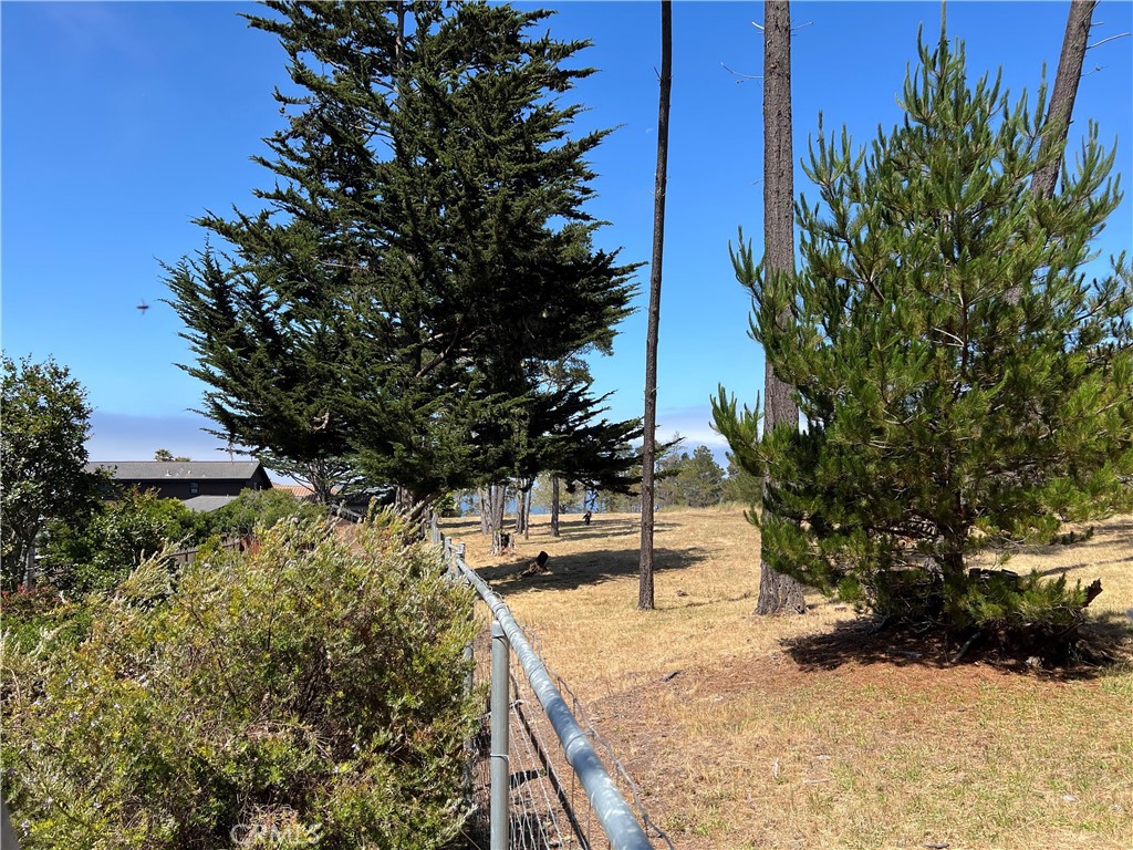 0 Warren Road Cambria, CA 93428 - Photo 13 of 29 a view of a backyard with plants