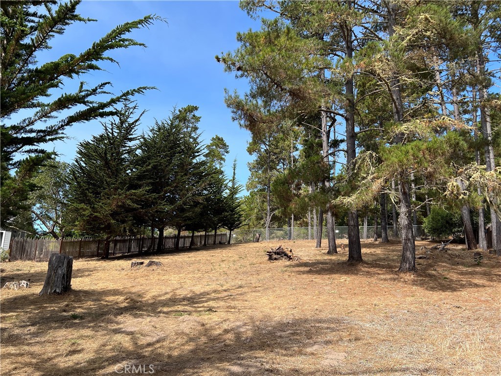 0 Warren Road Cambria, CA 93428 - Photo 18 of 29 a view of road with trees