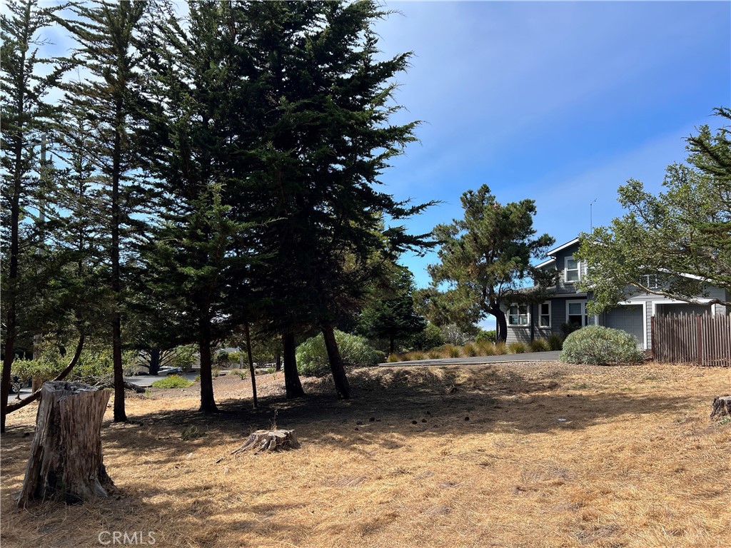 0 Warren Road Cambria, CA 93428 - Photo 21 of 29 a view of a house with a tree