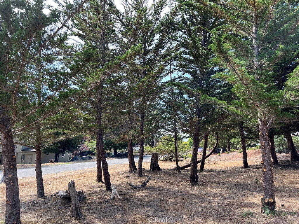 0 Warren Road Cambria, CA 93428 - Photo 22 of 29