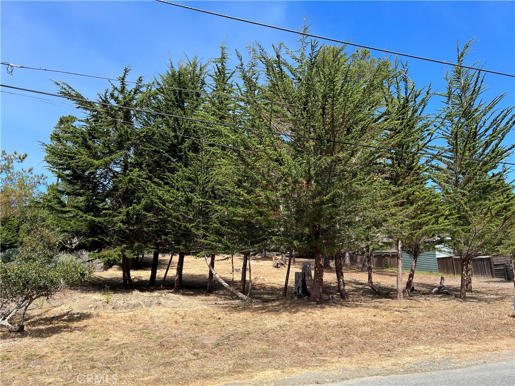 0 Warren Road Cambria, CA 93428 - Photo 24 of 29 a view of a outdoor space