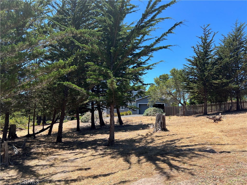 0 Warren Road Cambria, CA 93428 - Photo 26 of 29 a view of snow on the side of the road