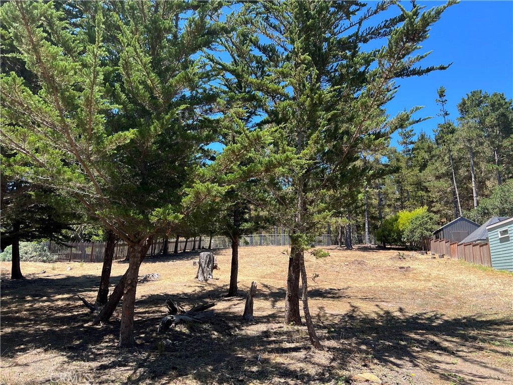 0 Warren Road Cambria, CA 93428 - Photo 27 of 29 a view of a yard with trees