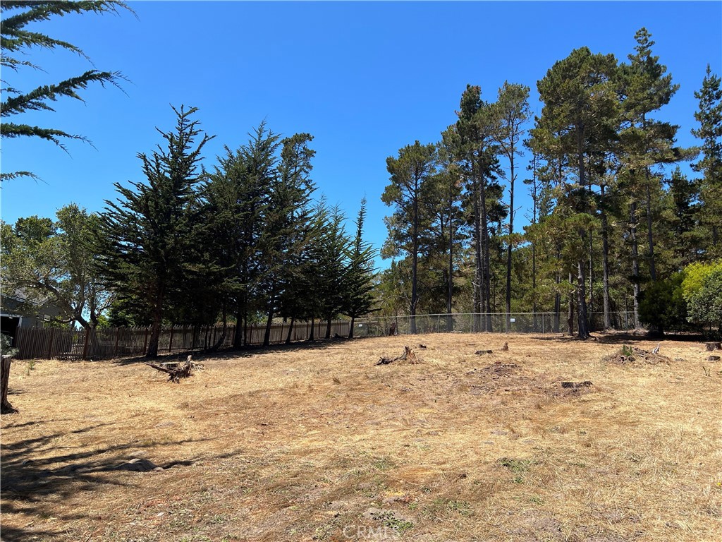 0 Warren Road Cambria, CA 93428 - Photo 29 of 29 a street view covered with snow