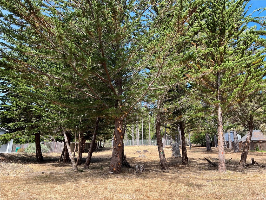 0 Warren Road Cambria, CA 93428 - Photo 7 of 29 a view of outdoor space with seating