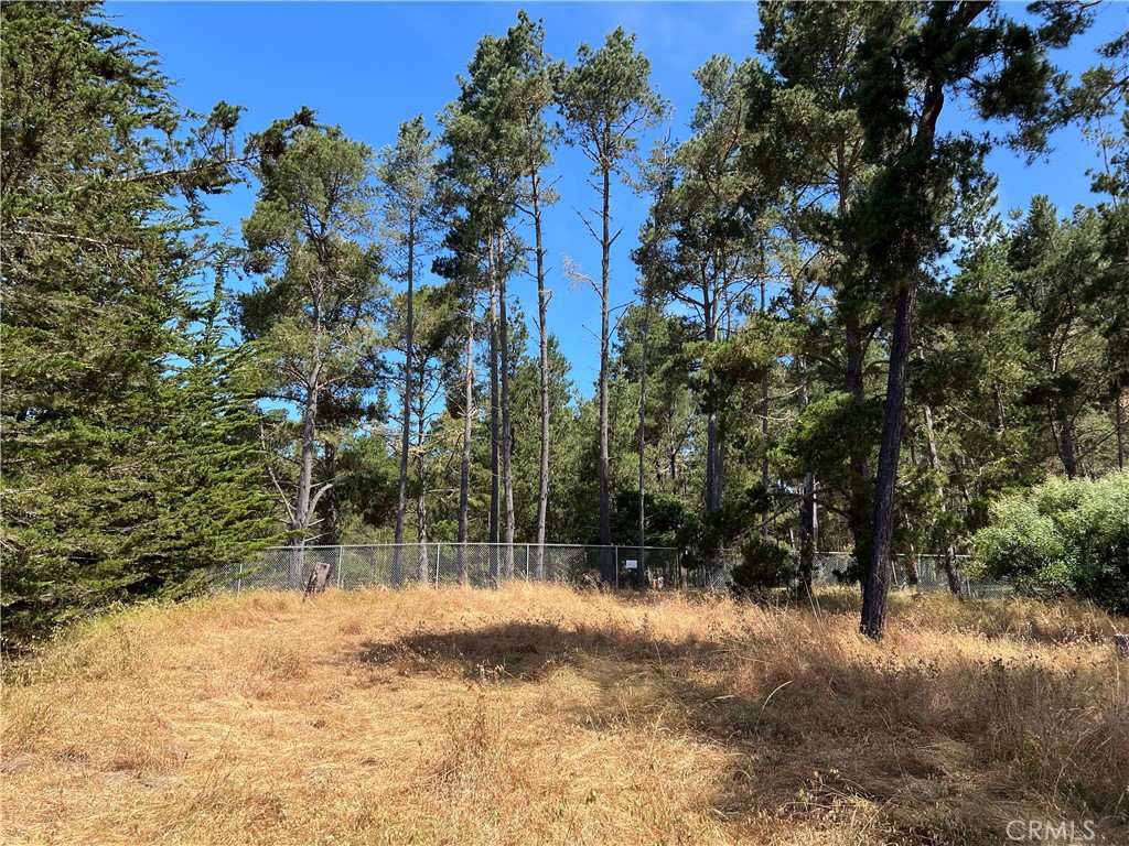 0 Warren Road Cambria, CA 93428 - Photo 8 of 29 a view of outdoor space with trees