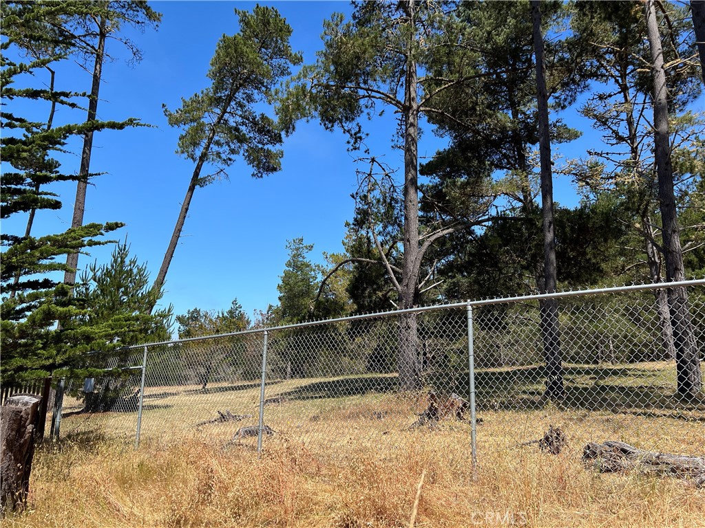 0 Warren Road Cambria, CA 93428 - Photo 9 of 29 a view of a yard with wooden fence and large trees