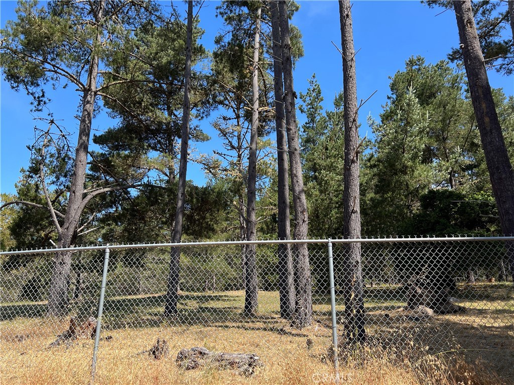 0 Warren Road Cambria, CA 93428 - Photo 10 of 29