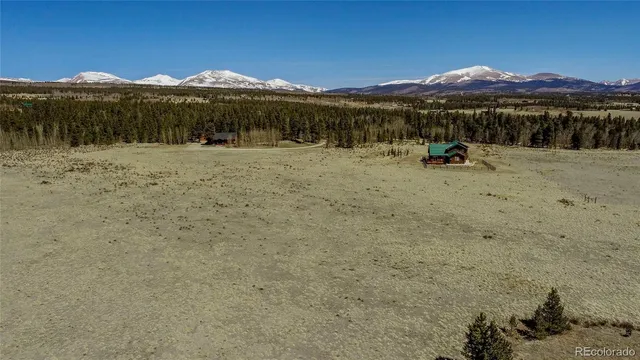 a view of a dry yard with trees