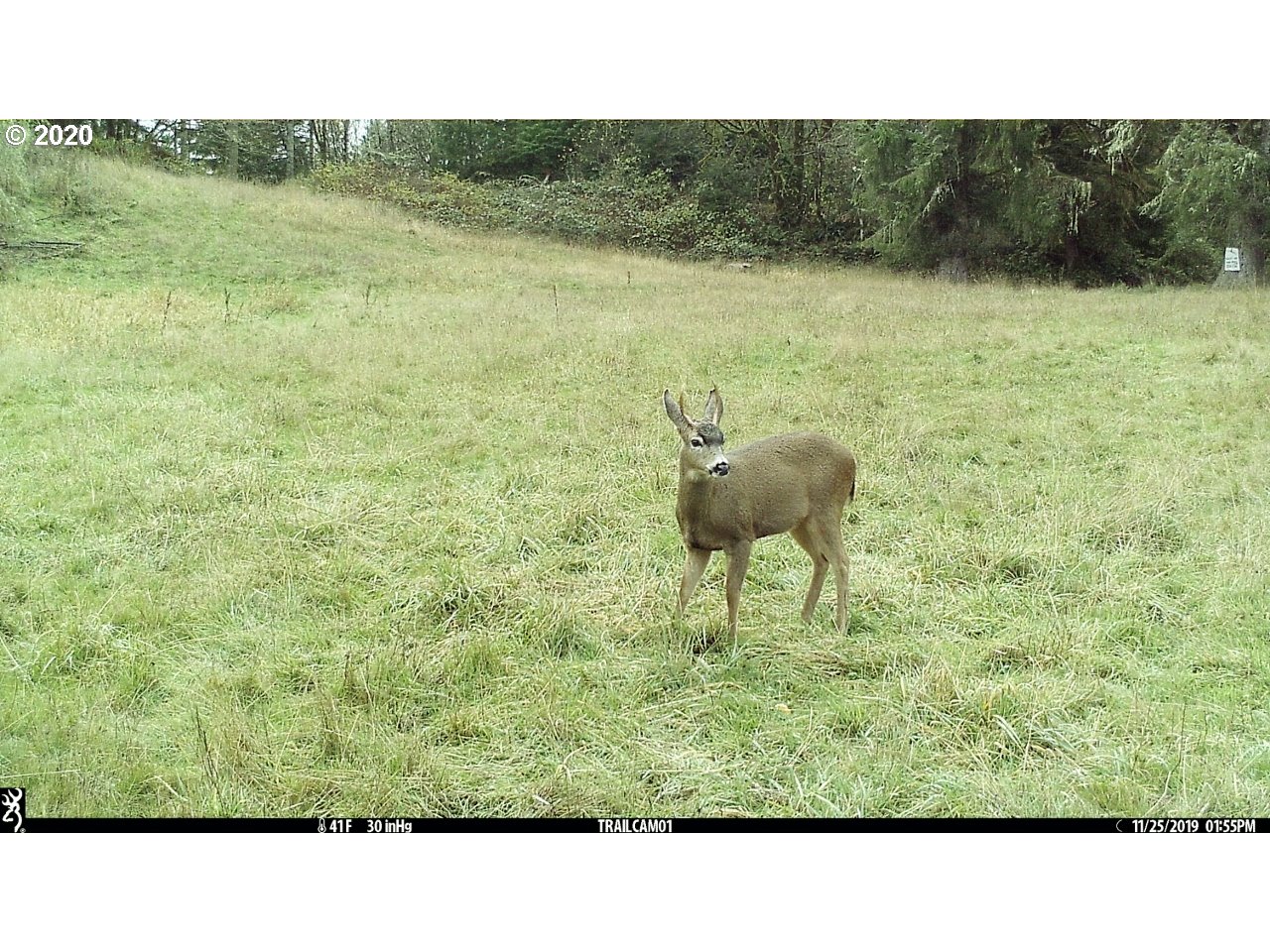 7421 North Fork Road Florence, OR 97439 - Photo 11 of 31 Gallery Image 11