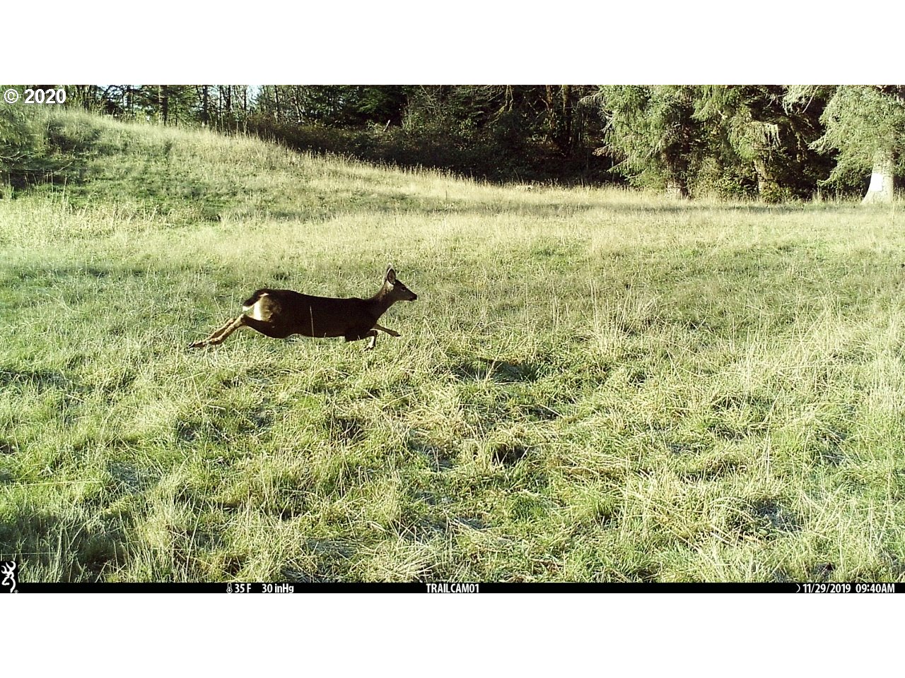 7421 North Fork Road Florence, OR 97439 - Photo 12 of 31 Gallery Image 12