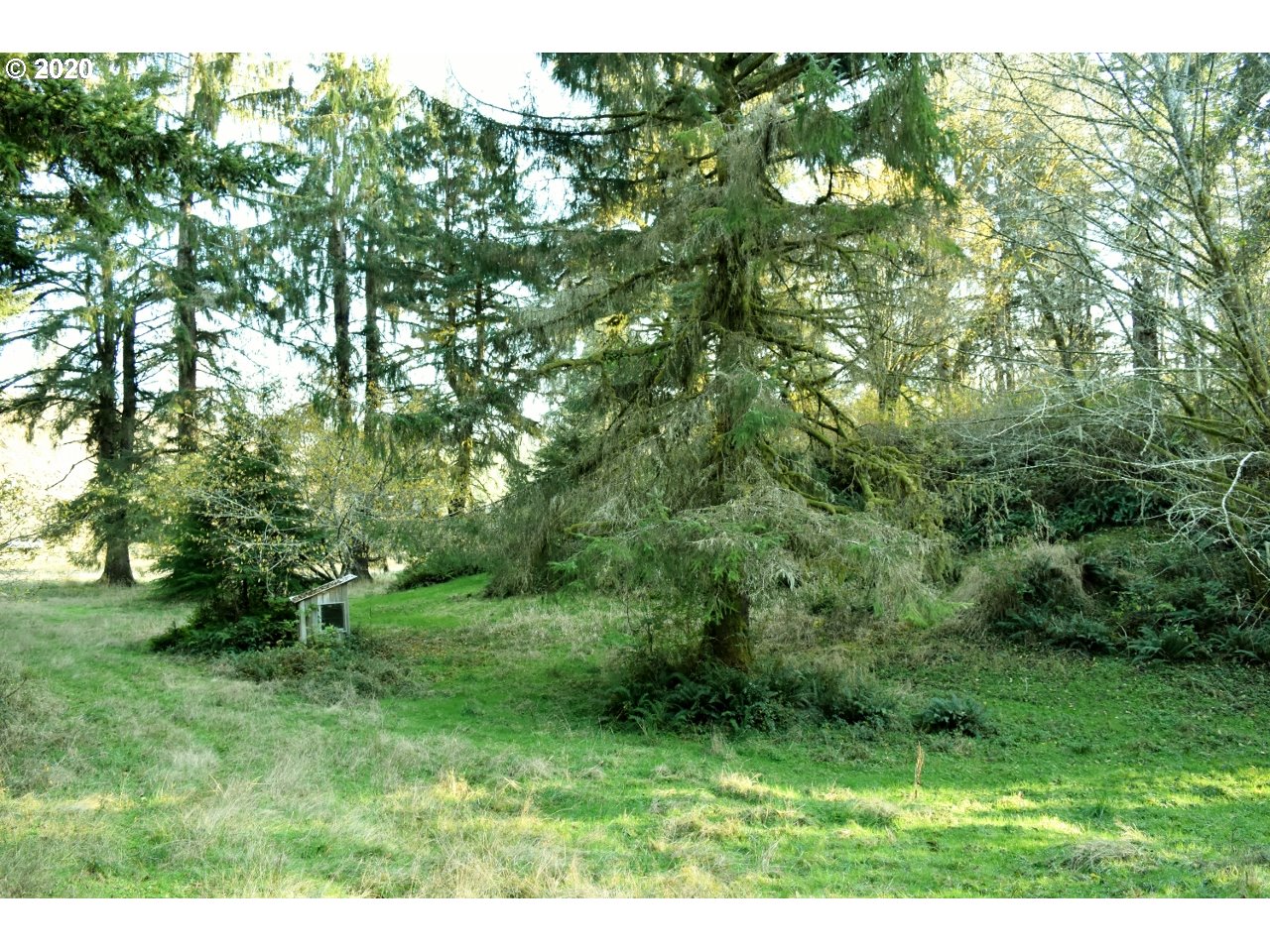 7421 North Fork Road Florence, OR 97439 - Photo 13 of 31 Gallery Image 13