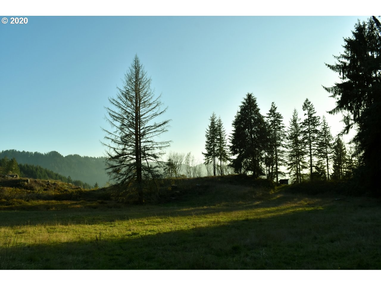 7421 North Fork Road Florence, OR 97439 - Photo 14 of 31 Gallery Image 14
