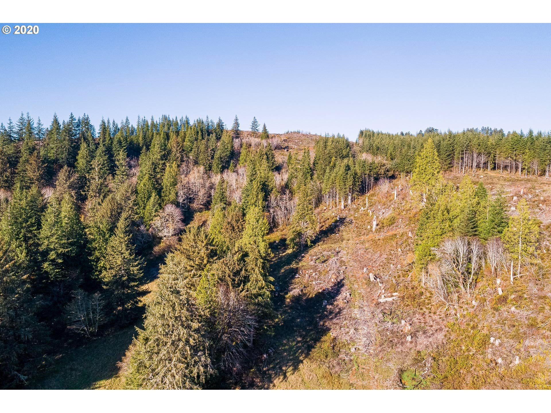 7421 North Fork Road Florence, OR 97439 - Photo 15 of 31 Gallery Image 15