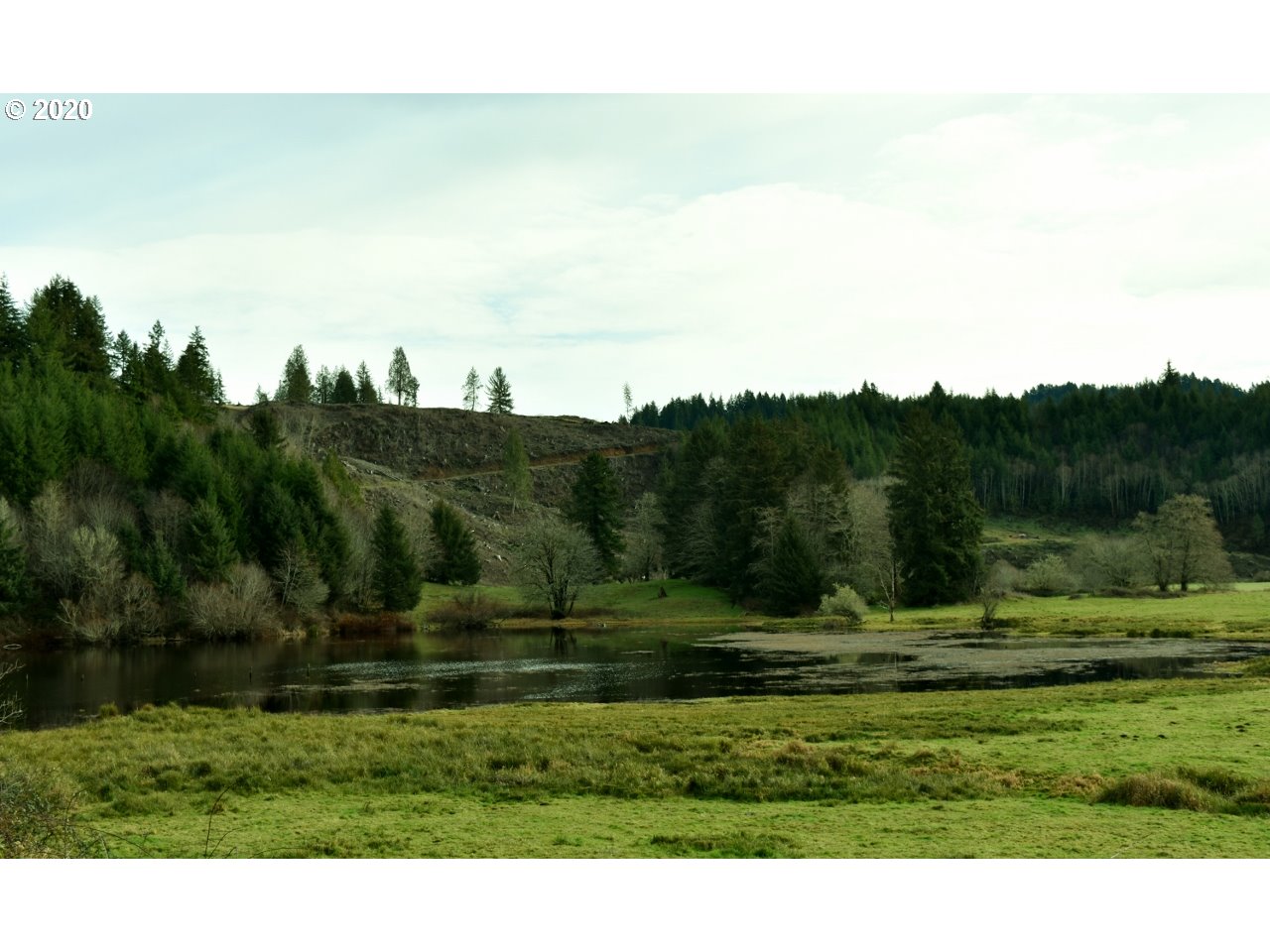 7421 North Fork Road Florence, OR 97439 - Photo 18 of 31 Gallery Image 18