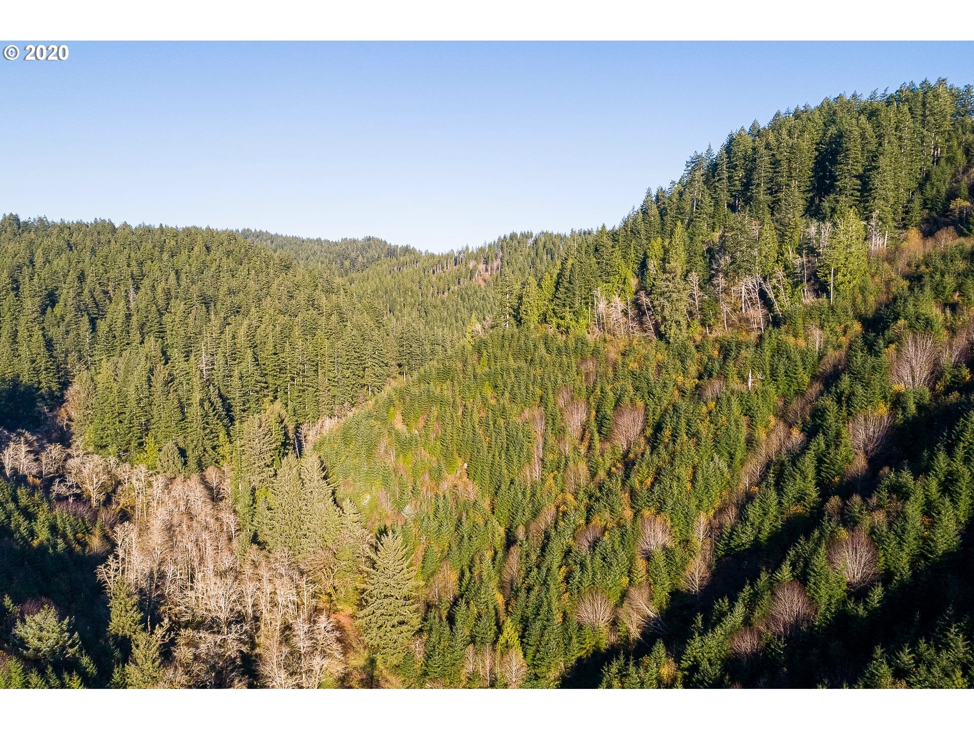 7421 North Fork Road Florence, OR 97439 - Photo 3 of 31 Gallery Image 3