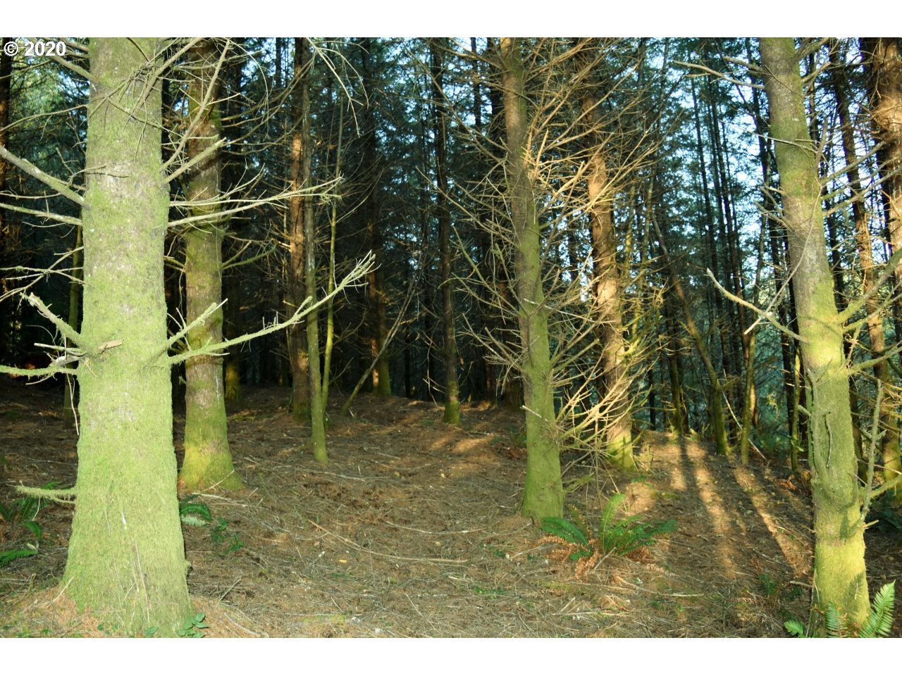 7421 North Fork Road Florence, OR 97439 - Photo 24 of 31 Gallery Image 24