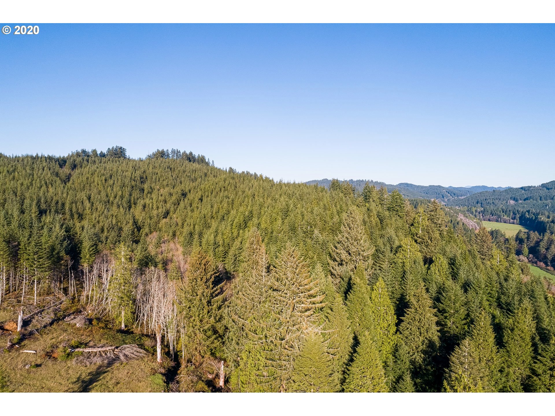 7421 North Fork Road Florence, OR 97439 - Photo 28 of 31 Gallery Image 28
