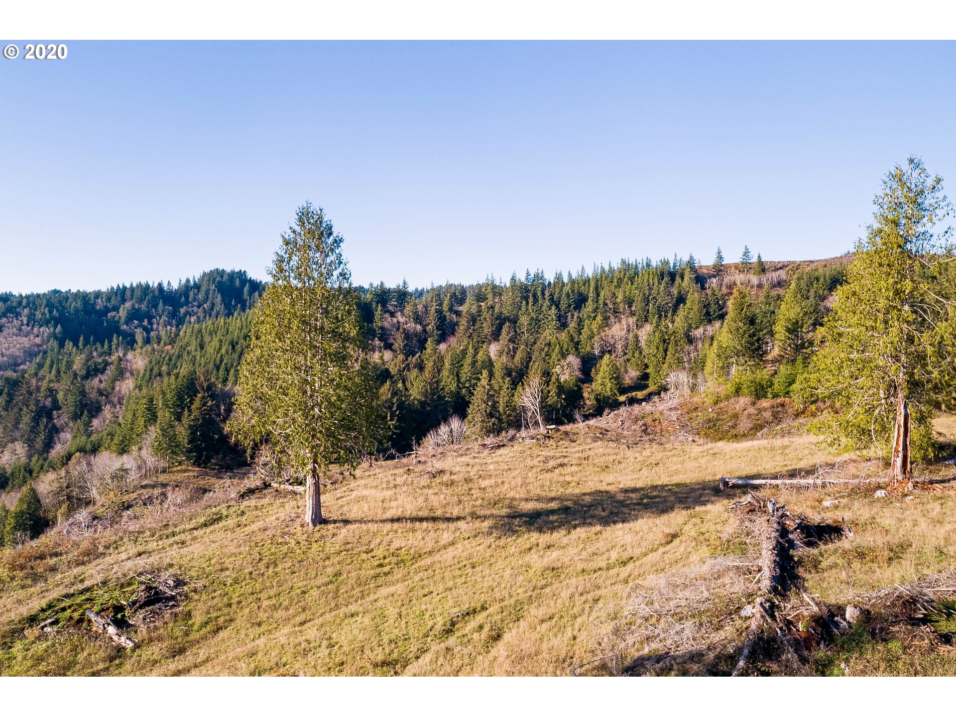 7421 North Fork Road Florence, OR 97439 - Photo 8 of 31 Gallery Image 8