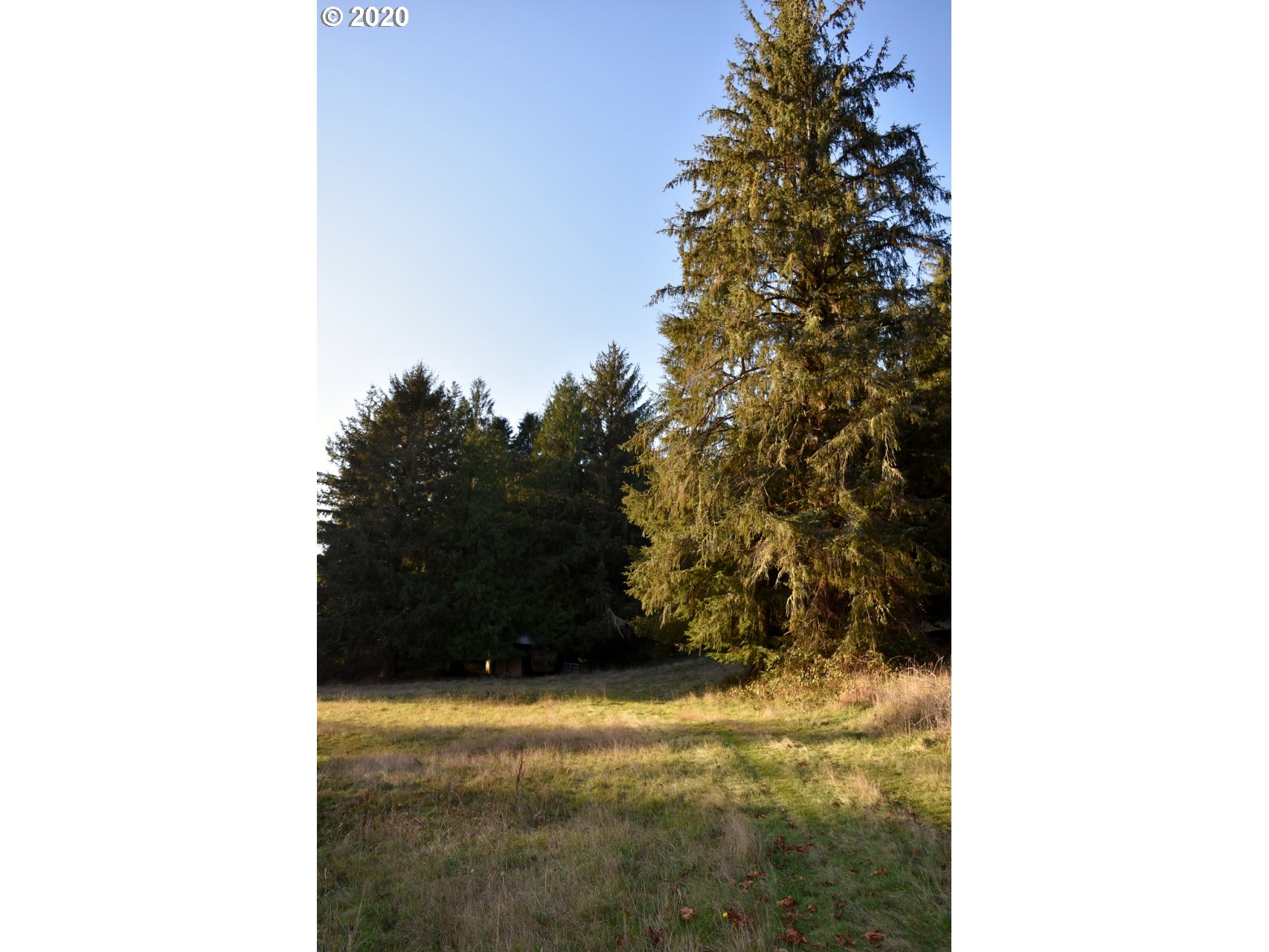 7421 North Fork Road Florence, OR 97439 - Photo 9 of 31 Gallery Image 9