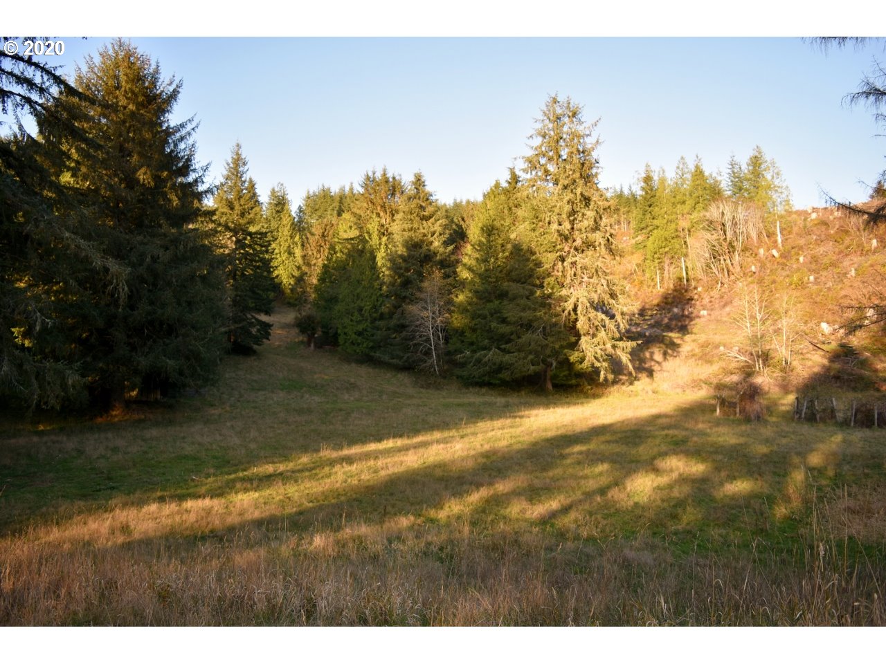 7421 North Fork Road Florence, OR 97439 - Photo 10 of 31 Gallery Image 10